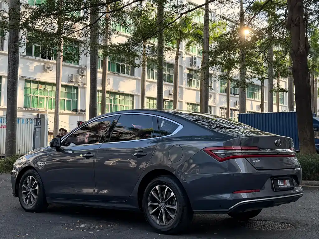 BYD Qin Pro NEV — миниатюра 4