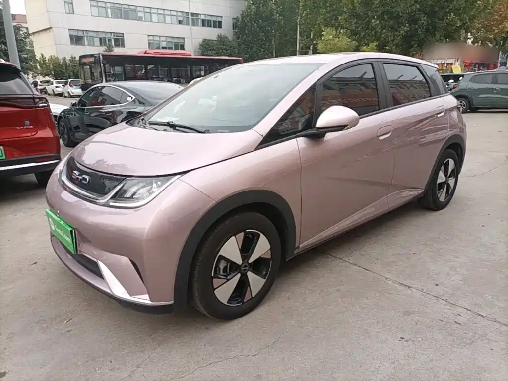 BYD Dolphin — миниатюра 2