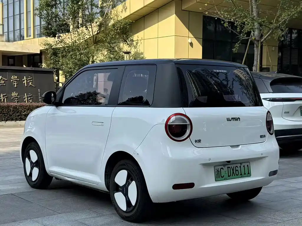 Qiyuan Lumin — миниатюра 3