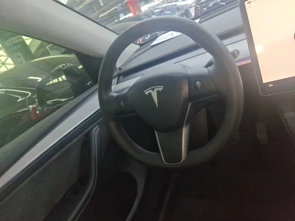 Tesla Model Y — миниатюра 11