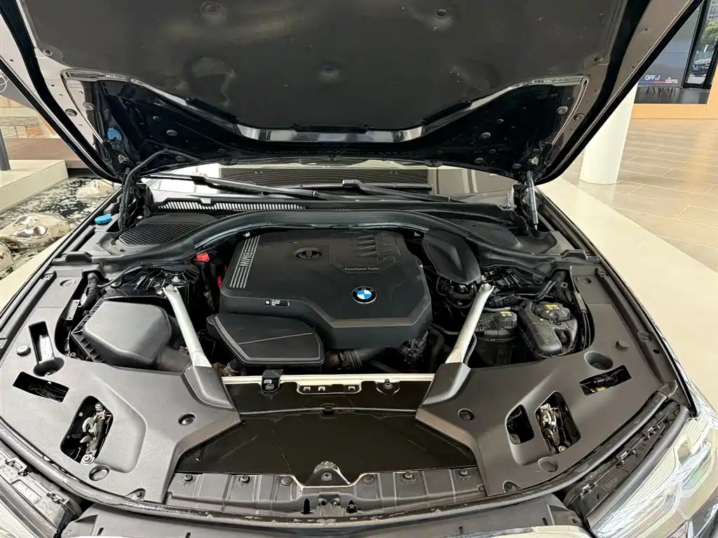 BMW 5 Series 5 2021 530Li Premium Luxury