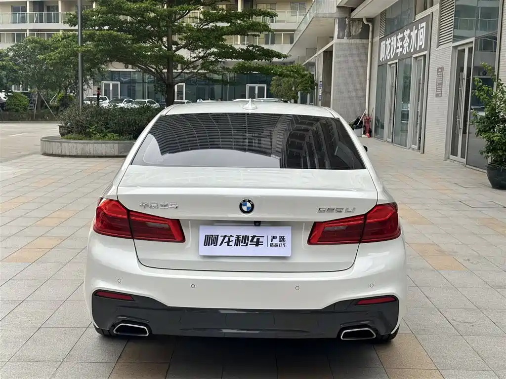BMW 5 Series 5 2020 525Li M Sport