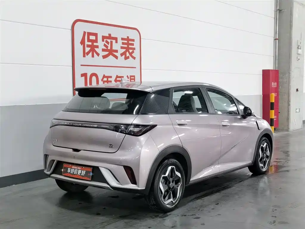BYD Dolphin 2021 405km Fashion