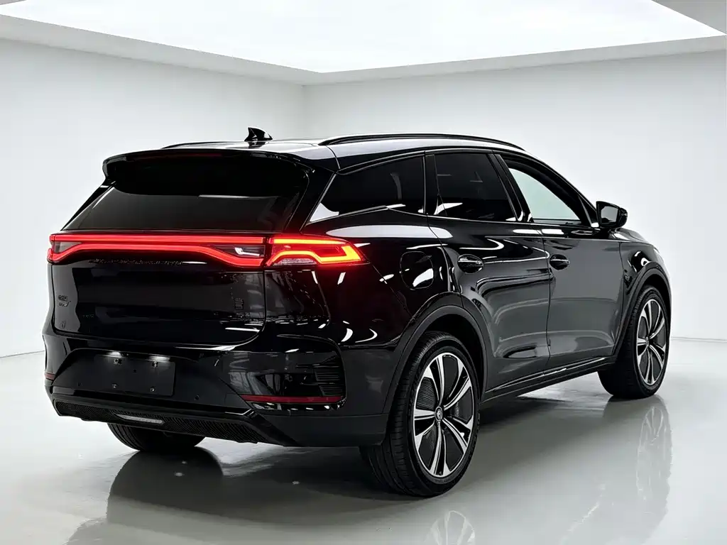 BYD Tang New Energy — миниатюра 12