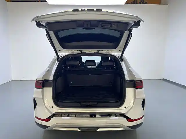 BYD SONGJIANG NEW ENERGY