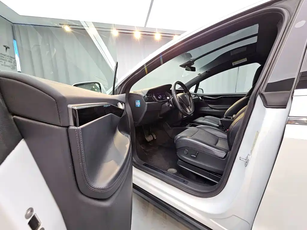 Tesla Model X — миниатюра 10