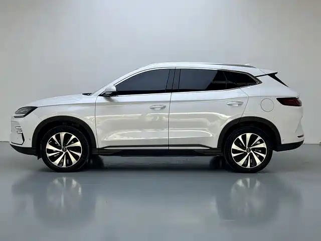 BYD SONGJIANG NEW ENERGY