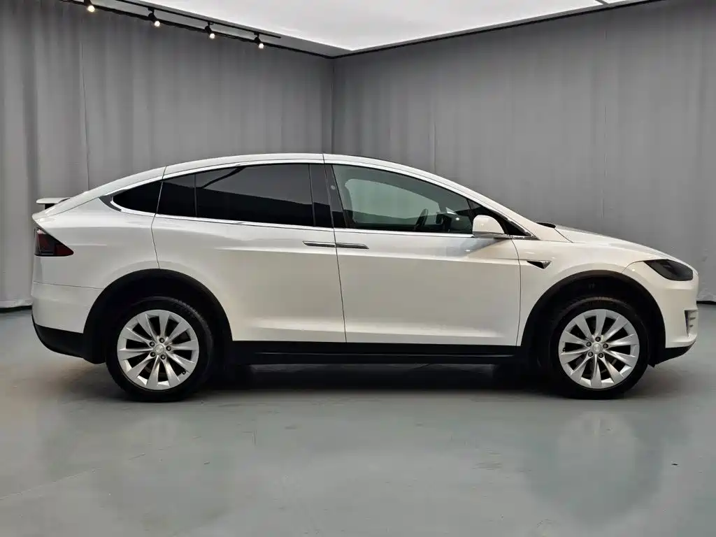 Tesla Model X — миниатюра 7