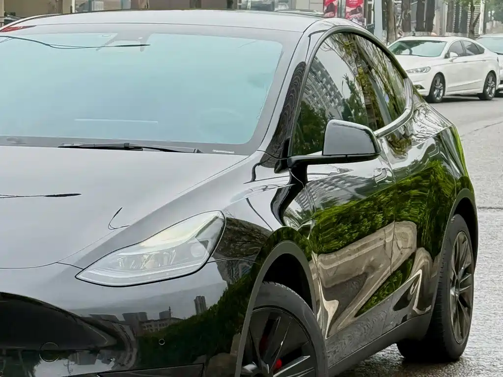 Tesla Model Y — миниатюра 2