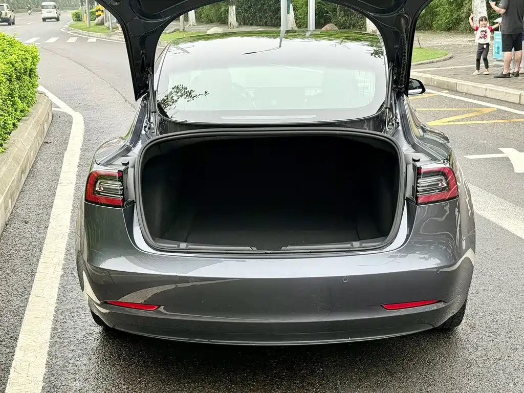 Tesla Model 3 — миниатюра 9