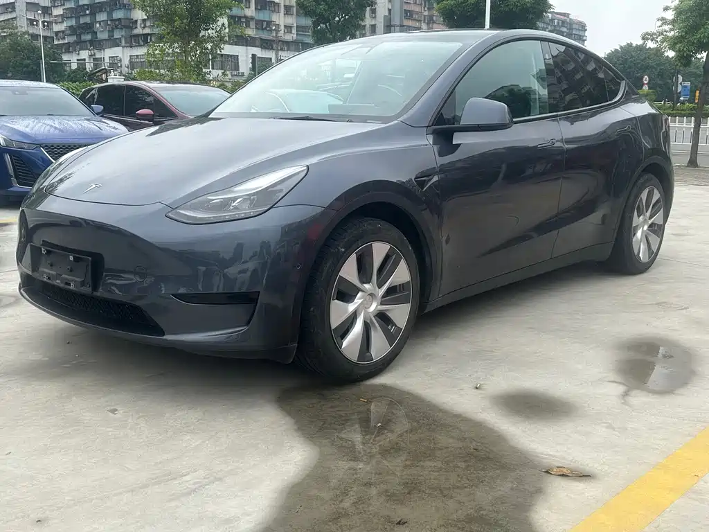Tesla Model Y — миниатюра 3