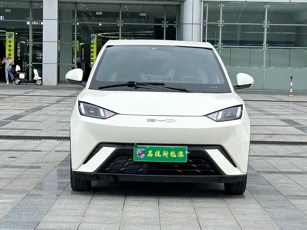 BYD Seagull 2023 Flying