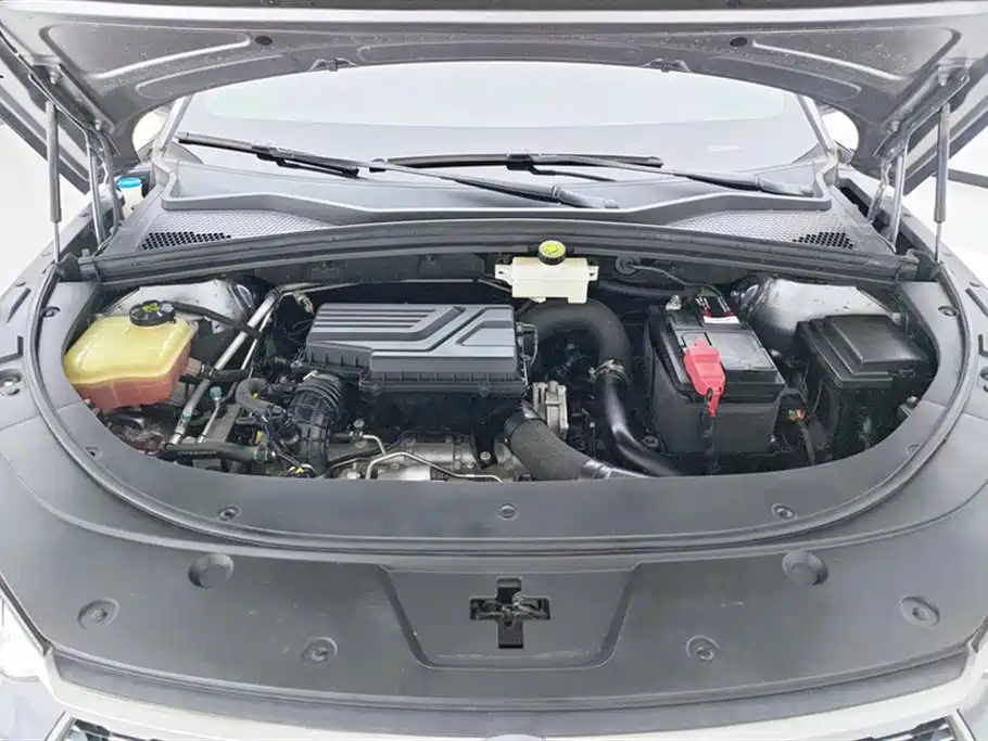 BYD Song Plus PLUS 2020 1.5T AT Luxury