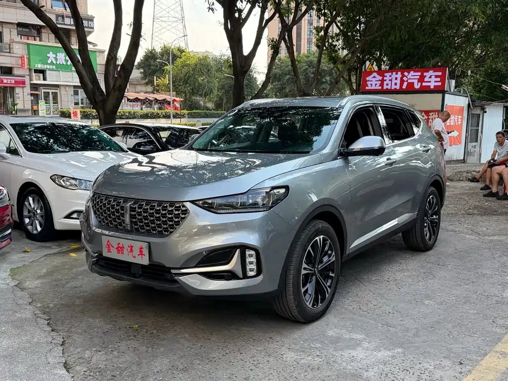 Wey Wey VV6
