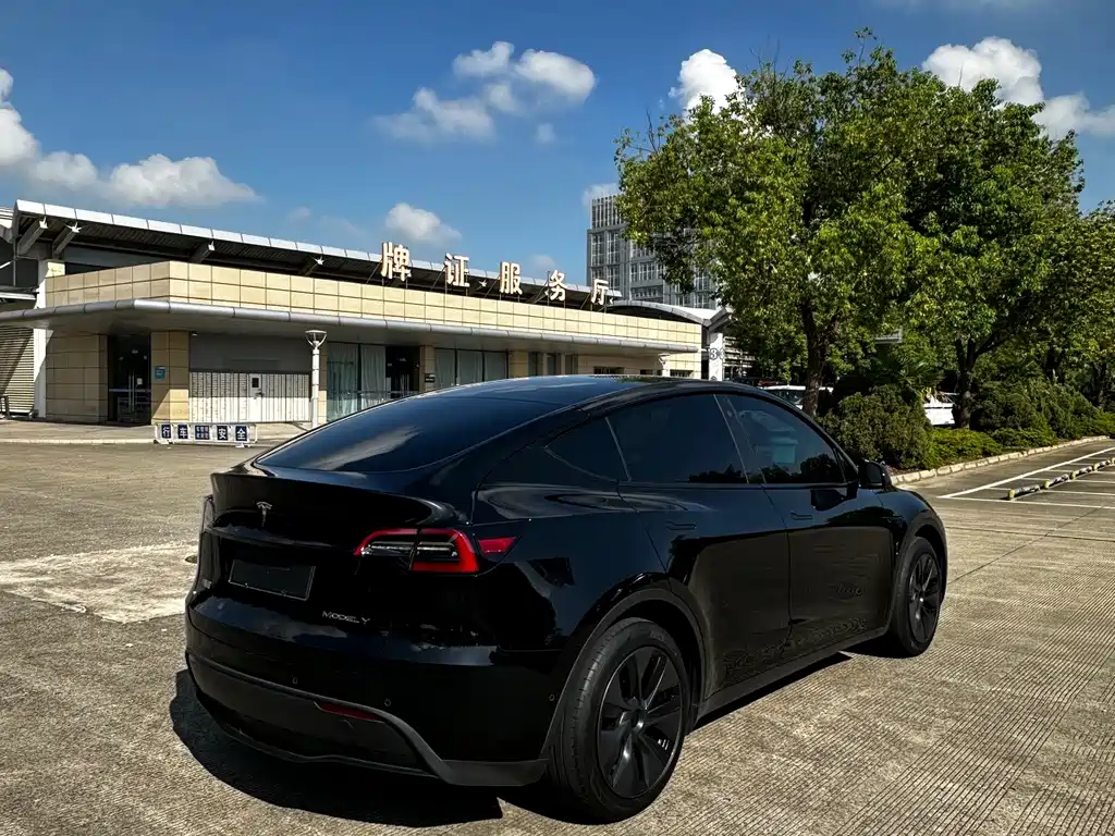 Tesla Model Y — миниатюра 6