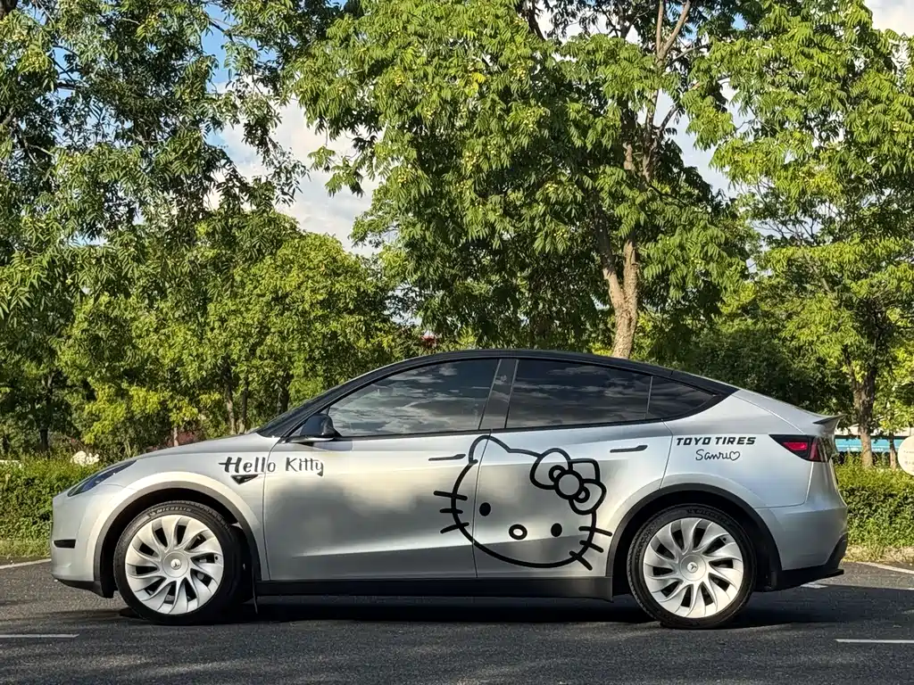 Tesla Model Y — миниатюра 3