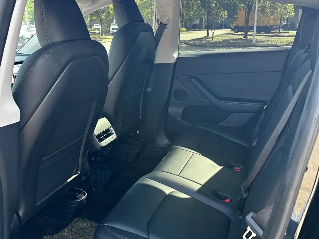 Tesla Model Y — миниатюра 8