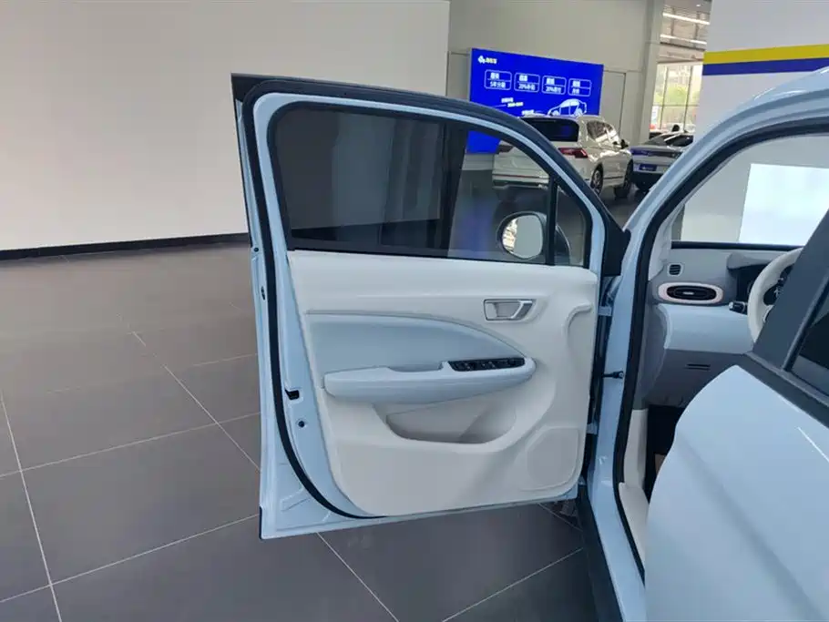 Leapmotor T03 2023 310