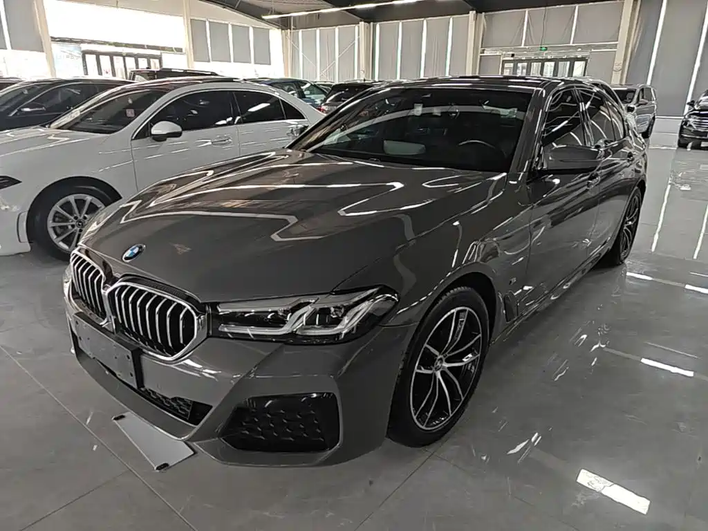 BMW 5 Series (Import)