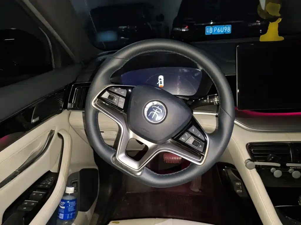 BYD PLUS New Energy — миниатюра 11
