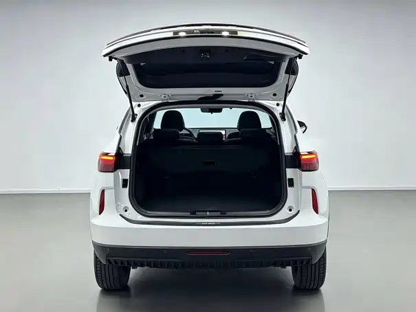 Haval H6 — миниатюра 11