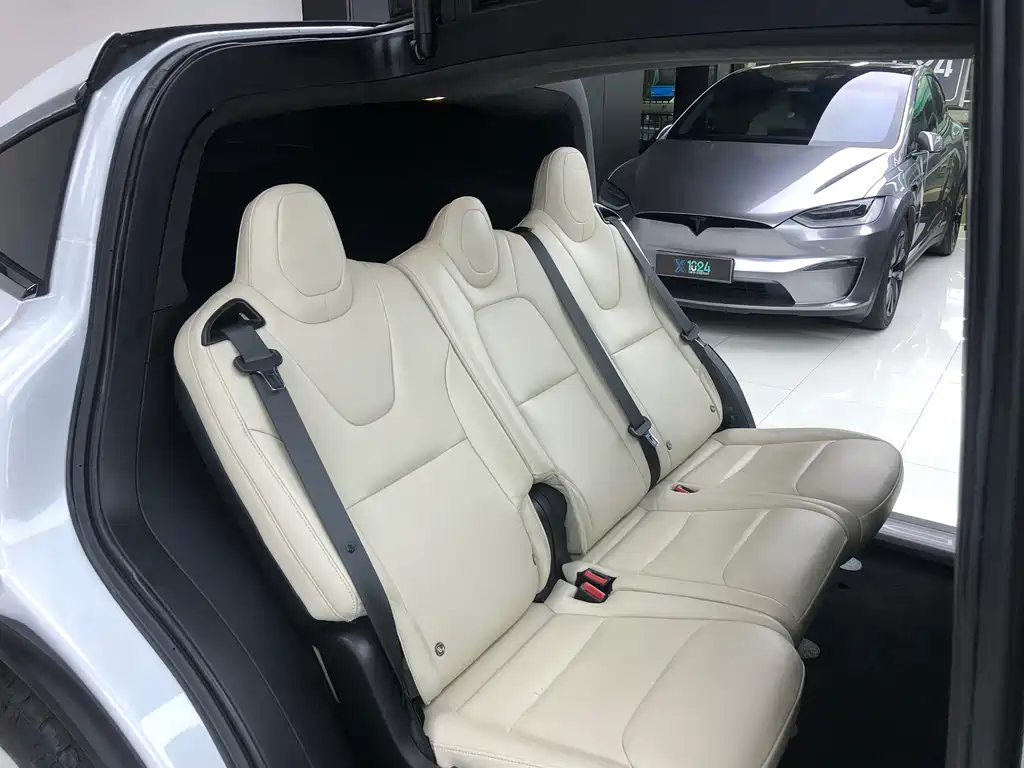 Tesla Model X — миниатюра 15