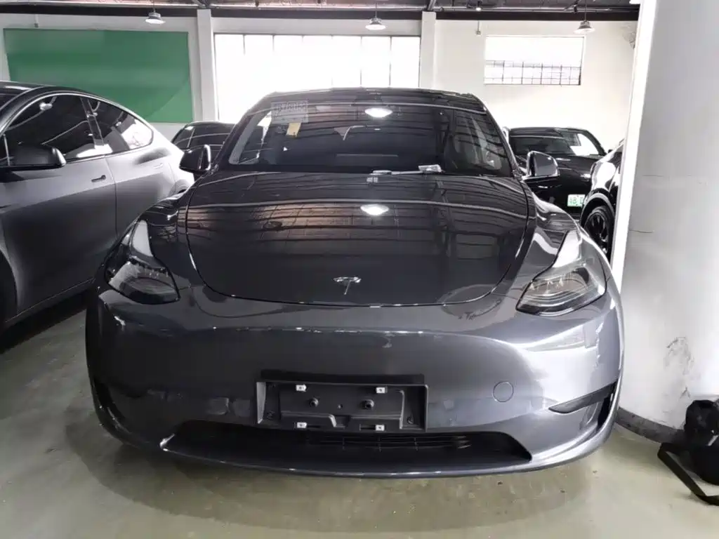 Tesla Model Y — миниатюра 3