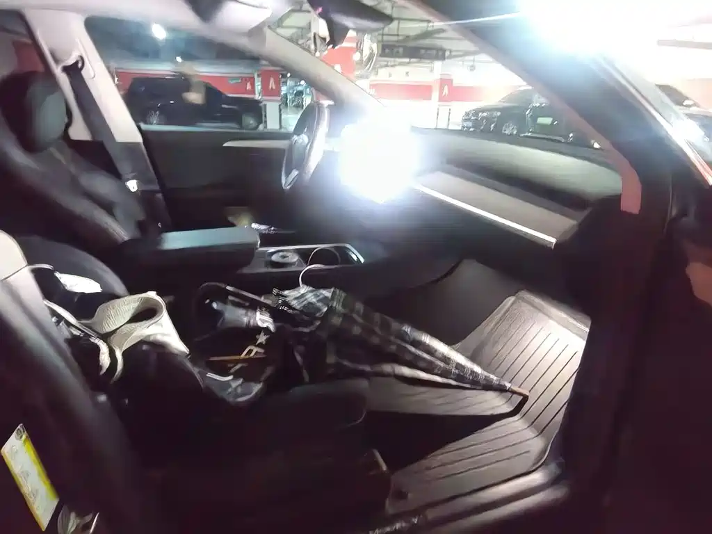 Tesla Model Y — миниатюра 8