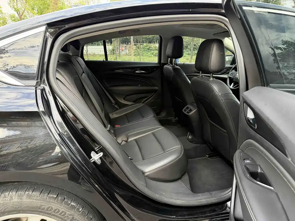 Buick Regal — миниатюра 11