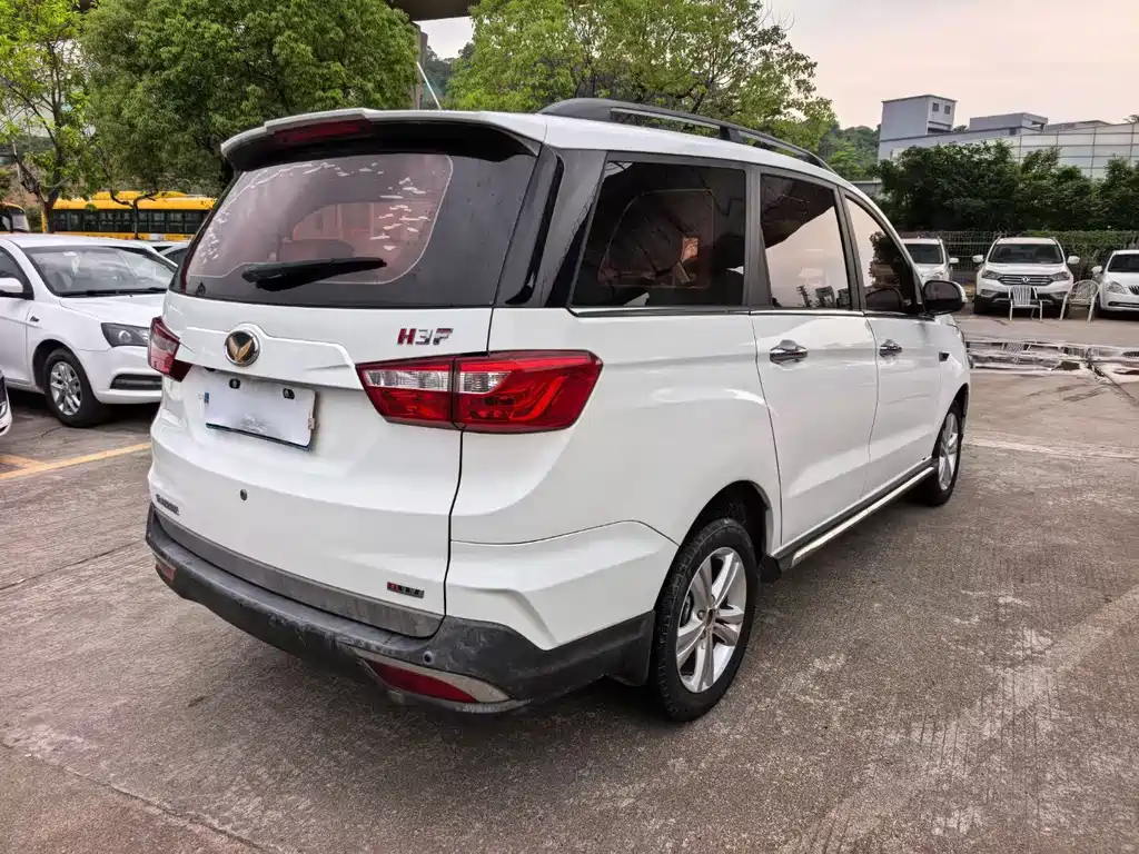 Huasu Huansu H3 — миниатюра 5