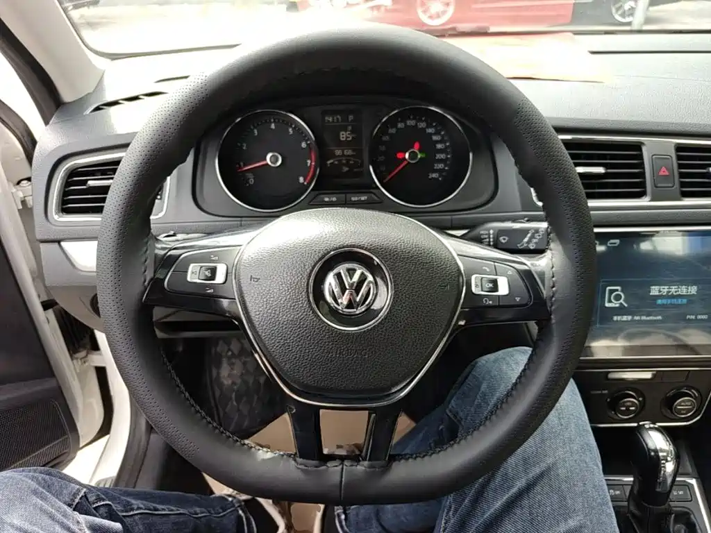 Volkswagen Gran Lavida — миниатюра 11