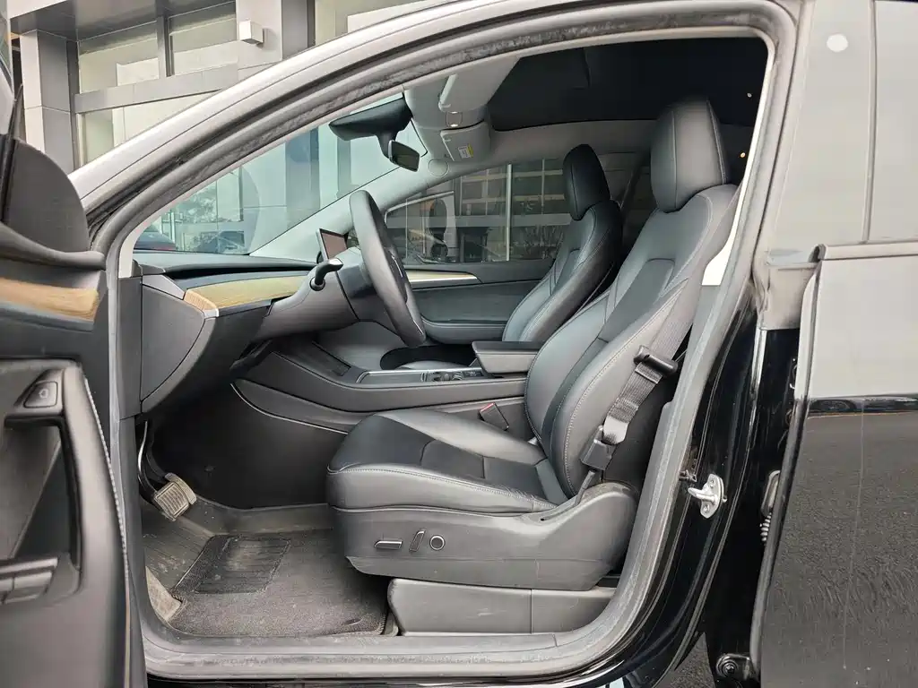 Tesla Model Y — миниатюра 5