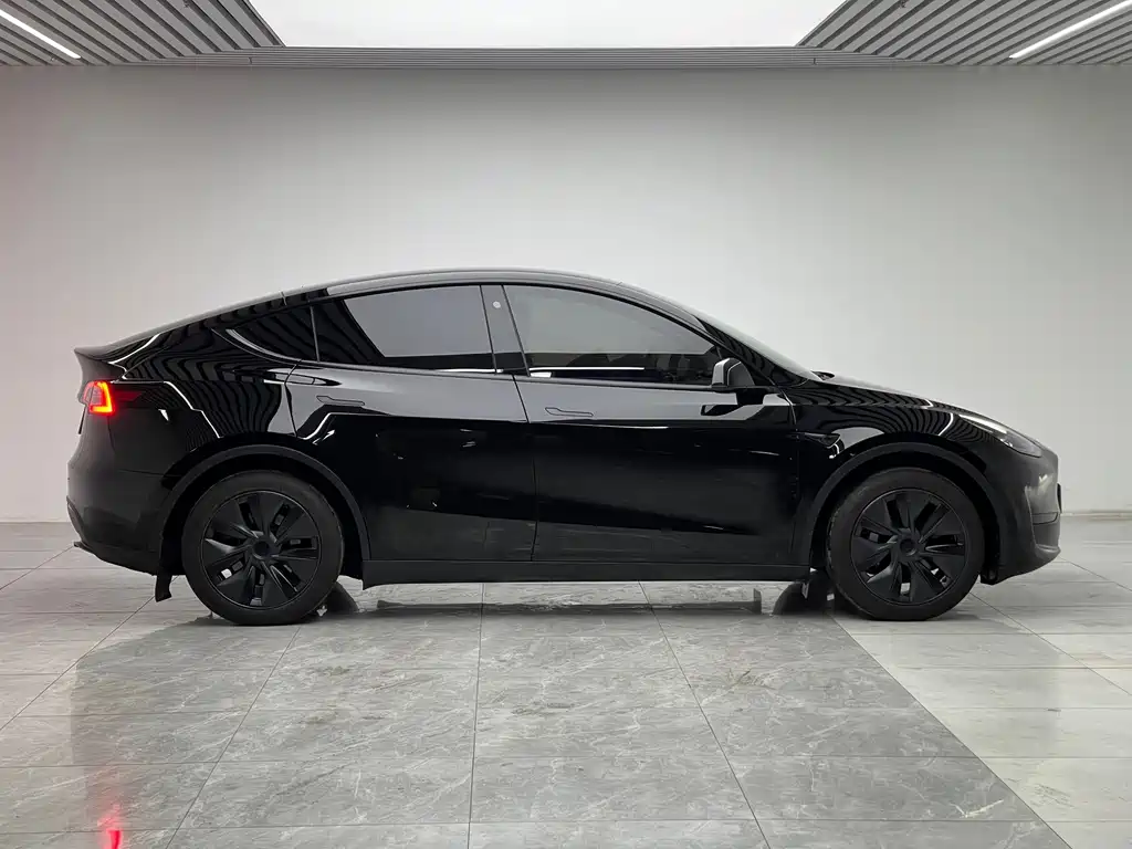 Tesla Model Y — миниатюра 8