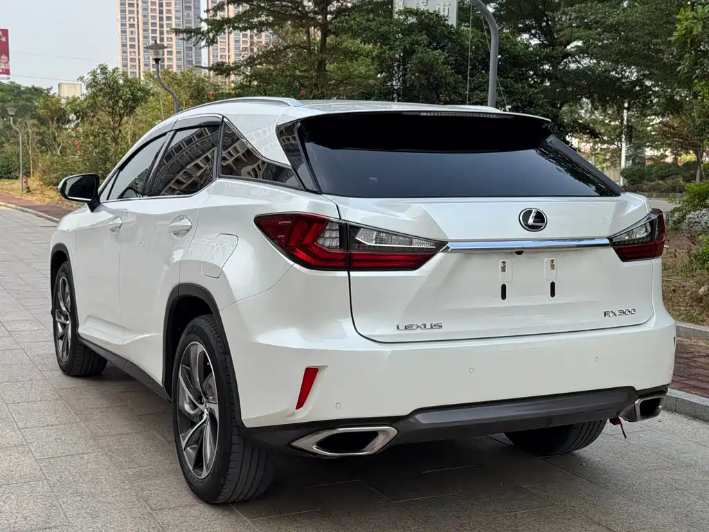 LEXUS RX