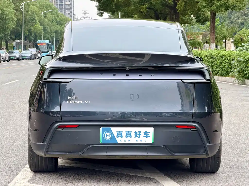Tesla Model Y — миниатюра 5