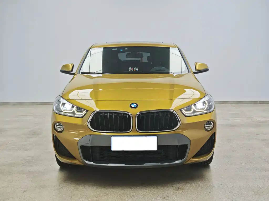 BMW X2 (Import) — миниатюра 2