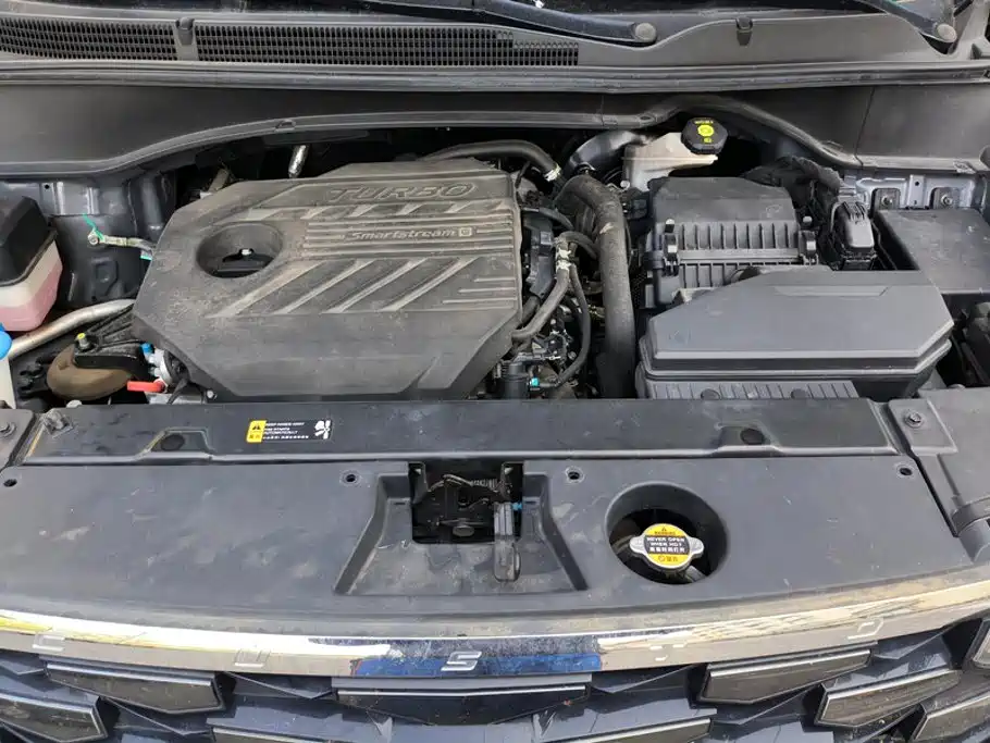 Hyundai Custo — миниатюра 10