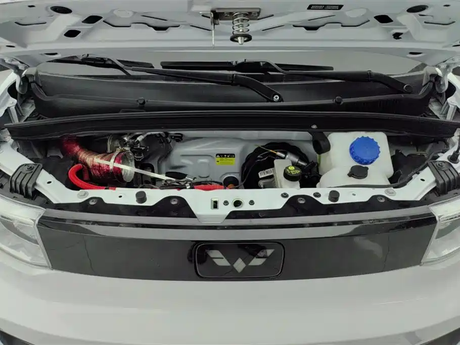 Wuling Mini EV MINIEV 2022 Enjoy