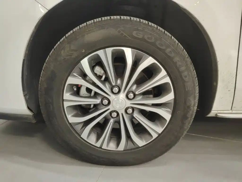Buick GL8 — миниатюра 23