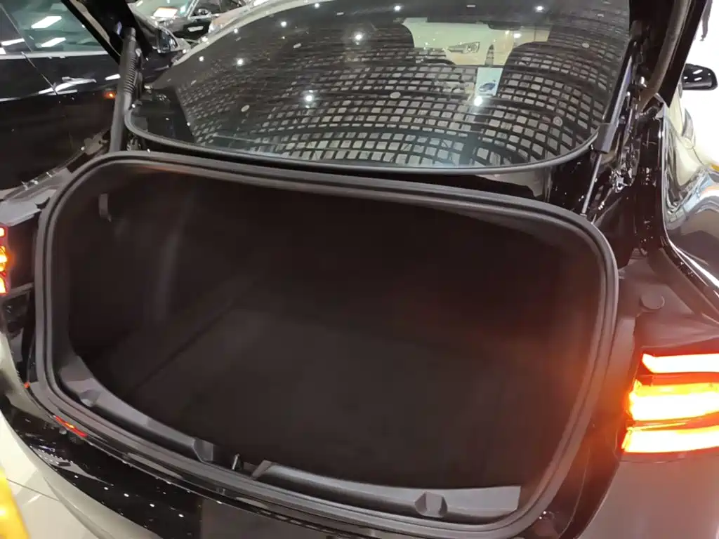 Tesla Model 3 — миниатюра 19