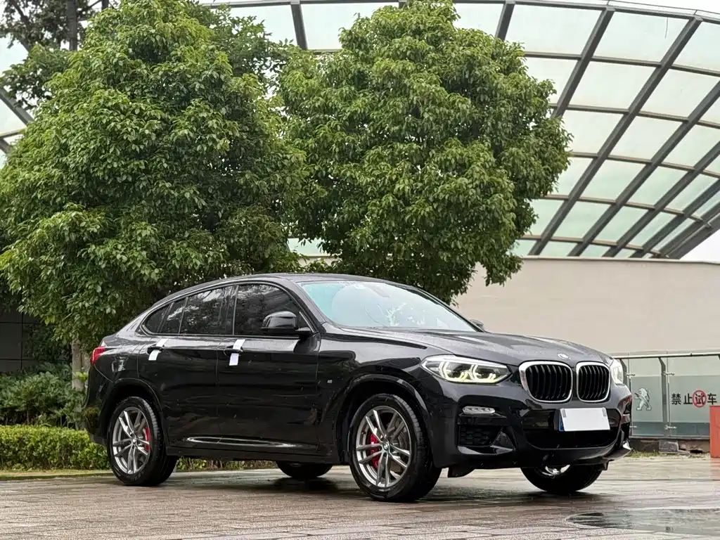 BMW X4 2019 xDrive25i M Sport