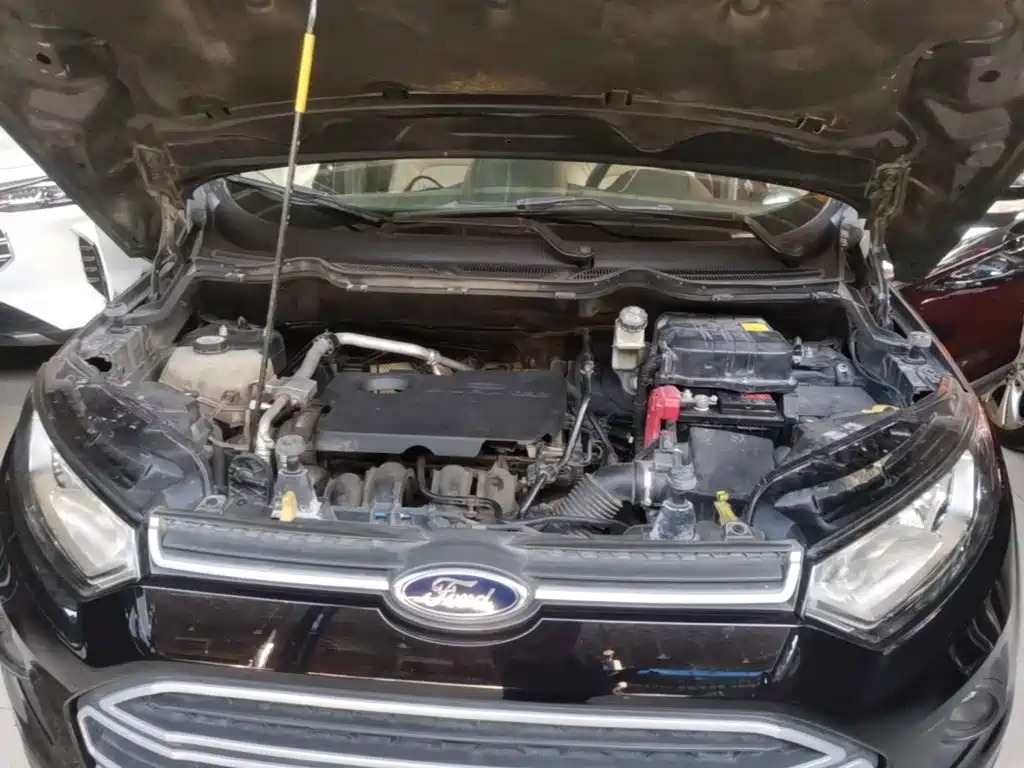 Ford Ecosport — миниатюра 20