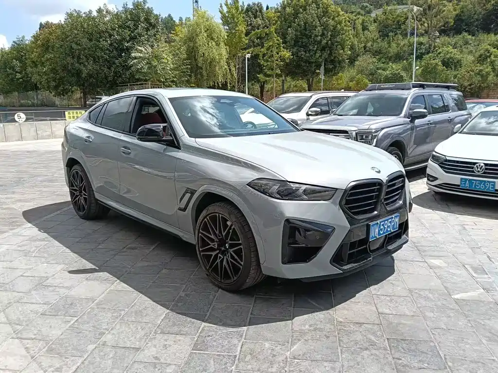 BMW X6 M — миниатюра 3