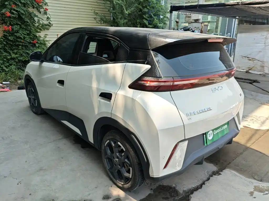 BYD Seagull 2025 305km Freedom
