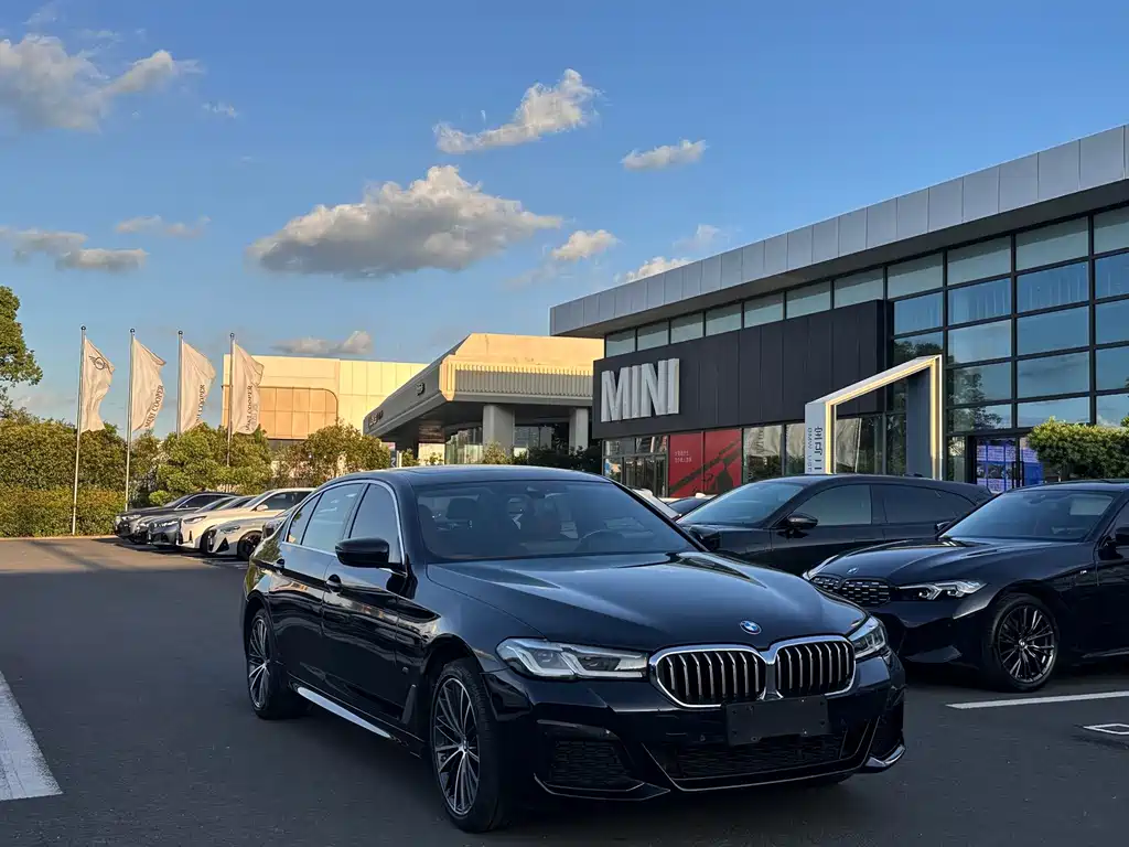 BMW 5 Series — миниатюра 2