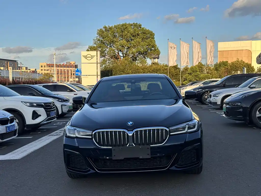 BMW 5 Series — миниатюра 4