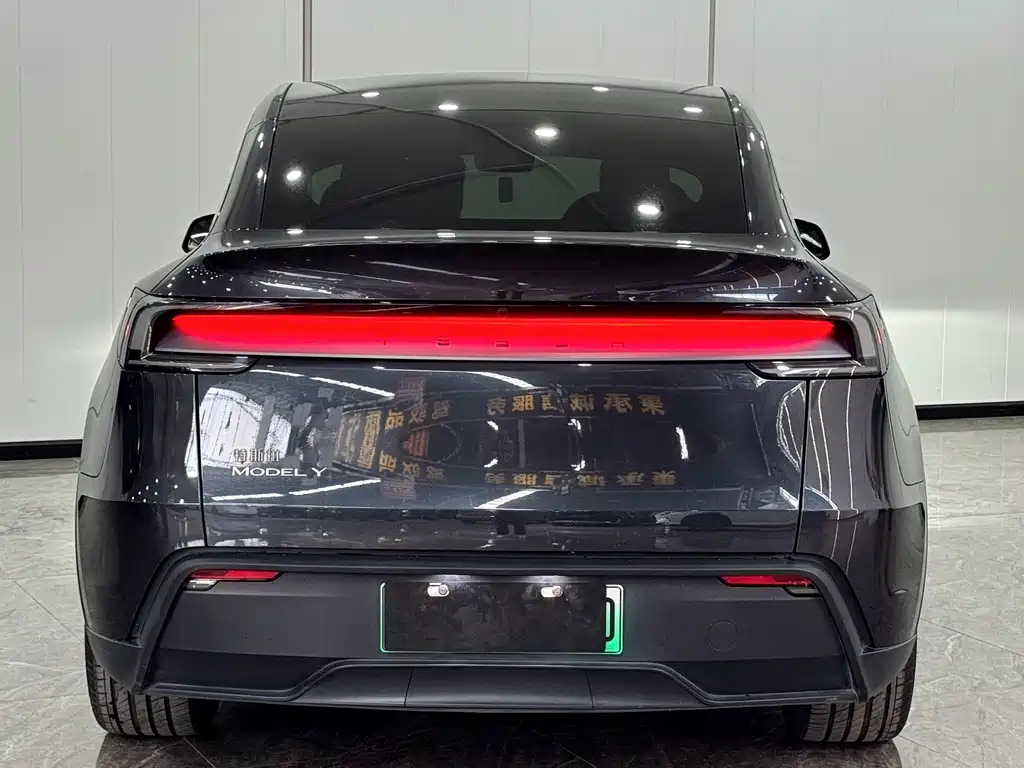 Tesla Model Y — миниатюра 14