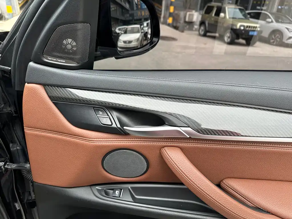 BMW X6 — миниатюра 12