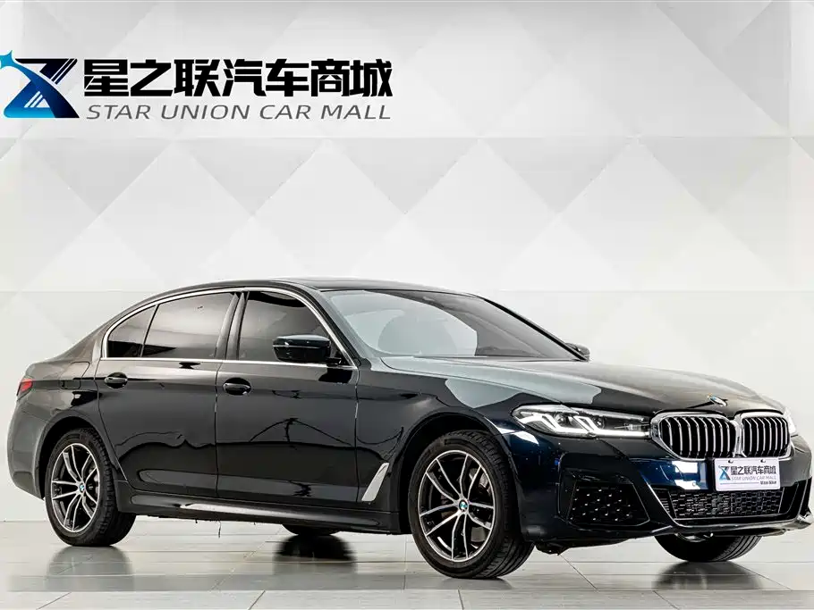 BMW 5 Series — миниатюра 5