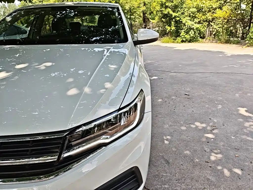 Volkswagen Bora — миниатюра 24